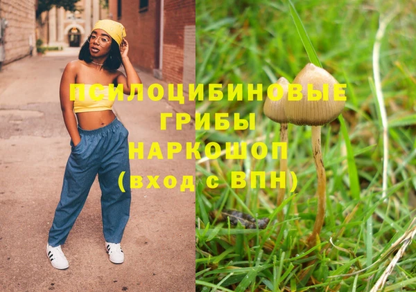 винт Алексеевка