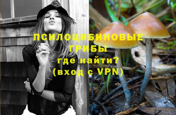 прущие грибы Алексин