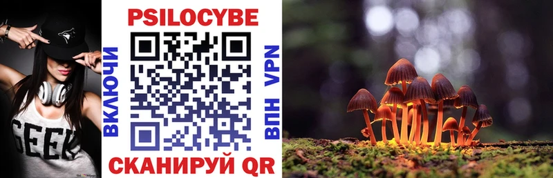 Галлюциногенные грибы Magic Shrooms  закладки  Ступино 